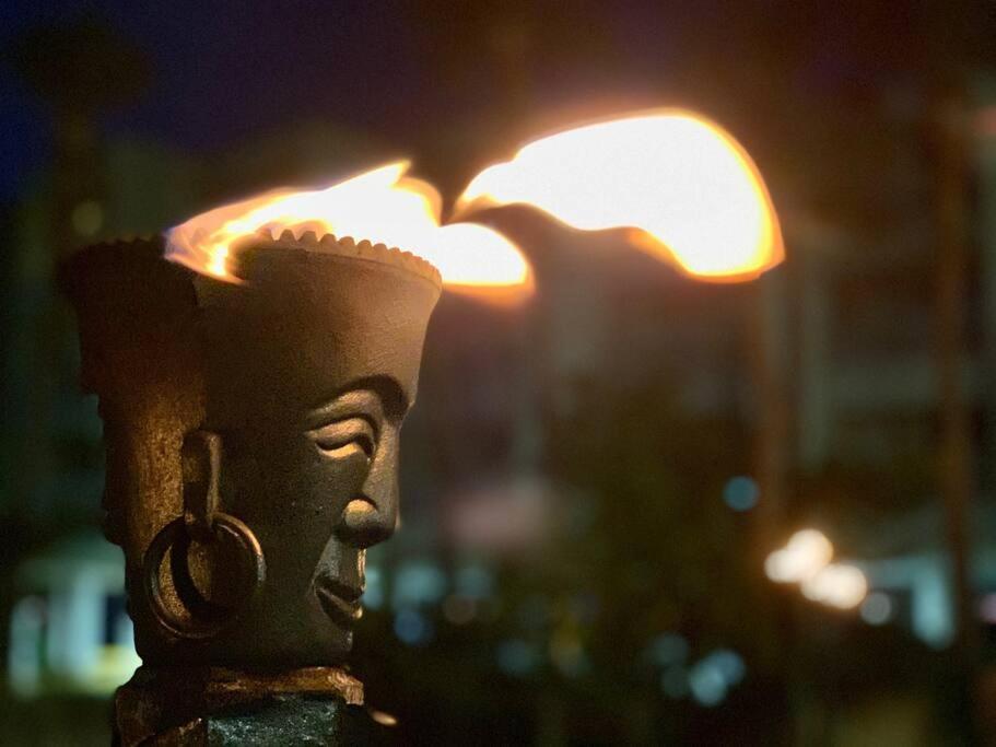Tropical Serenity-Water View Heated Pool Tiki Bar 坦帕 外观 照片